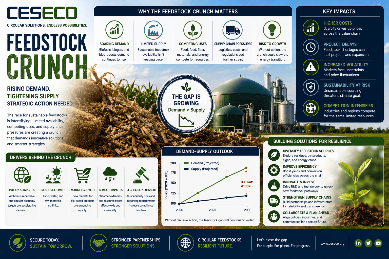 19. feestock crunch